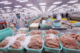 Forte hausse des exportations de produits aquatiques vers le Mexique