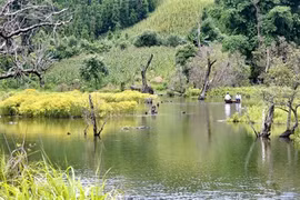 Belle randonnée vers le lac de montagne Noong U à Diên Biên