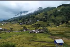 Lao Cai parmi les cinq merveilles de la nature en Asie du Sud-Est