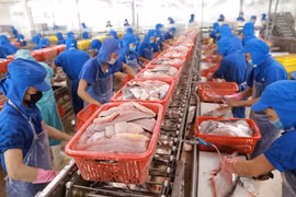 Impact du COVID-19 sur l'exportation de produits aquatiques 