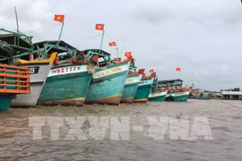 INN : la Commission européenne apprécie les efforts du Vietnam 