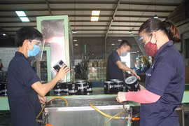 Covid-19: Da Nang s’engage à limiter la propagation 
