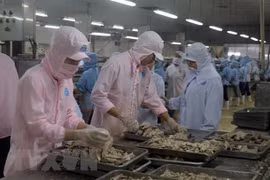 Le Vietnam et les États-Unis s’orientent vers une balance commerciale harmonieuse