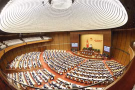 La délégation de l’AN vietnamienne participe à la préparation de l’APPF-29