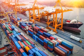 Le commerce entre le Vietnam et la Hongrie bat un record en 2020