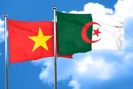 Le Vietnam félicite l’Algérie pour le 67e anniversaire de sa Révolution