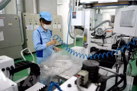 Le Vietnam a investi 545,9 millions de dollars à l’étranger en quatre mois