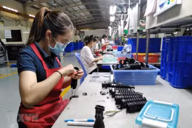 Dong Nai prévoit d’attirer 700 millions de dollars d’IDE dans ses zones industrielles 