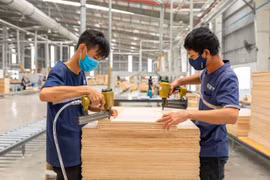Les exportations de bois vers les États-Unis atteignent leur plus haut niveau