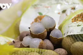 Le marché australien attend avec impatience le longane vietnamien frais