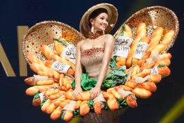 Les costumes à croquer des candidates vietnamiennes à Miss Univers 