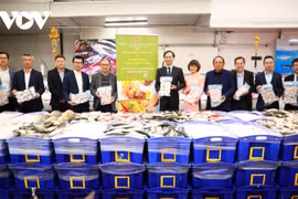Les pangasius vietnamiens font un carton en Australie