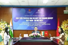 Pharmacie et énergies renouvelables, nouveau moteur pour les liens commerciaux Vietnam-Inde 