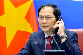 Vietnam-Chine : conversation téléphonique entre Bui Thanh Son et Wang Yi