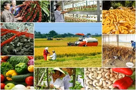 L’agriculture vietnamienne termine l’année en apothéose 