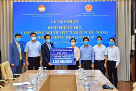 Aide pour les Vietnamiens résidant à l'étranger touchés par le COVID-19