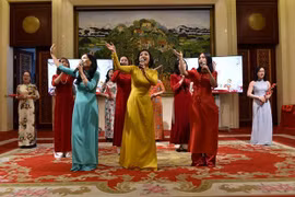 Les Vietnamiens dans le monde célèbrent la fête du Têt