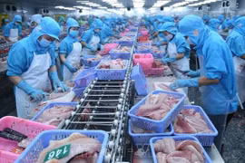 Antidumping : un résultat encourageant pour les poissons pangasius vietnamiens aux Etats-Unis