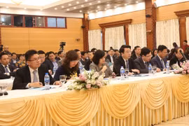 Marché boursier vietnamien: le jeu des "nains"