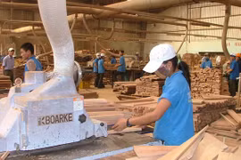 De belles perspectives pour les exportations de bois en 2019