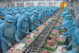 De belles perspectives pour les exportations de produits aquatiques en 2021