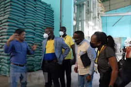 Le Gabon souhaite coopérer avec Long An dans la production rizicole