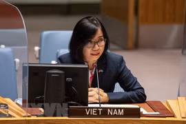 ONU : le Vietnam soutient les efforts diplomatiques pour accélérer la mise en oeuvre du JCPOA