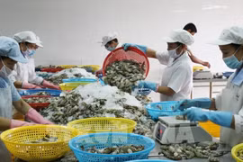Hausse des exportations de produits agricoles, sylvicoles et aquatiques des quatre mois