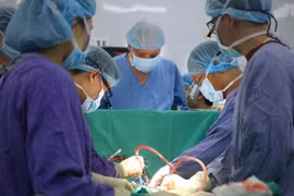 La transplantation d’organes, une réussite du secteur de la santé vietnamien