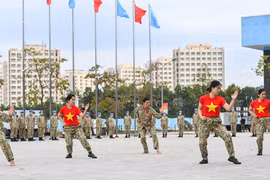 Démonstration d’arts martiaux de casques bleus vietnamiens 