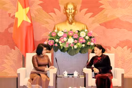 Vietnam-Cambodge : intensification des relations entre organes législatifs 