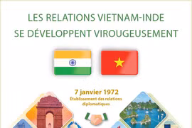 Les relations Vietnam-Inde se développent virougeusement