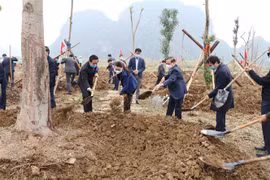 Lancement de la Fête de plantation d’arbres du printemps 2021 dans des localités