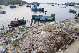 Une entreprise japonaise envisage un projet de collecte de déchets plastiques au Vietnam