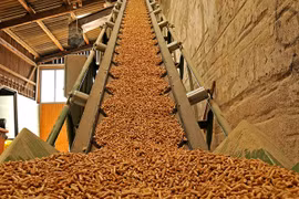 Une nouvelle usine de granulés de bois de 14,5 millions de dollars à Binh Dinh