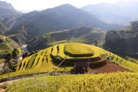 CNBC fait l'éloge de la beauté de Mu Cang Chai