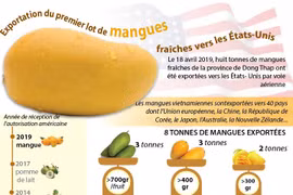 Exportation du premier lot de mangues fraîches vietnamiennes aux États-Unis