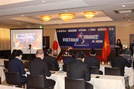Des intellectuels vietnamiens au Japon discutent du développement national post-COVID-19