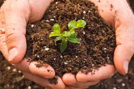 Le secteur agricole fixe l’objectif de 25% d'engrais organiques d’ici 2025