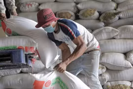 Le Cambodge exporte 7 millions de tonnes de produits agricoles en 2019