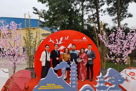 Un jardin de style japonais inauguré à Hai Phong
