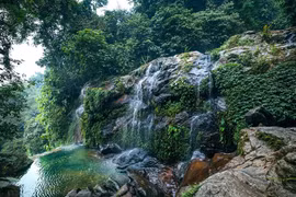 A la découverte des montagnes et forêts de Ba Vi 