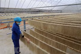Le pays compte 3.200 nouveaux produits OCOP