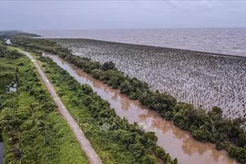 Delta du Mékong : développement durable pour s'adapter au changement climatique