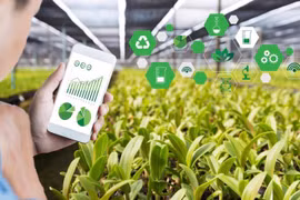 L’application de technologies favorise le développement des produits agricoles vietnamiens