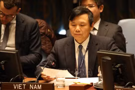 Conseil de sécurité: le Vietnam appelle à renforcer les efforts en réponse de COVID-19