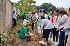 Lancement d’une campagne de plantation de 4.000 arbres à Hanoï