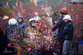 CNN : Le marché aux fleurs de Quang Ba, une destination à ne pas manquer à l’occasion du Têt