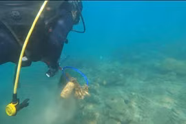 La surveillance des déchets plastiques aide à protéger les écosystèmes marins de Cu Lao Cham