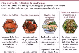 Cinq spécialités culinaires du cap Ca Mau 